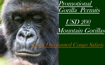 Congo gorilla permit