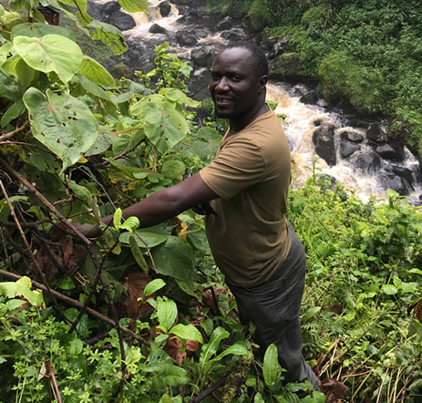 Kasule Tour Guide