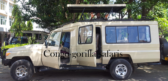 Safari jeep for Wildlife game drive