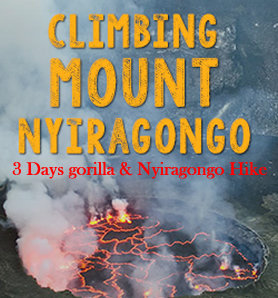 Rwanda Gorilla Trekking & Nyiragongo Hike