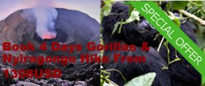 Gorilla trekking & Climbing nyiragongo