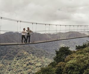 Canopy Walks in Nyungwe Forest Rwanda