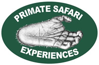 Primate Safari Experiences