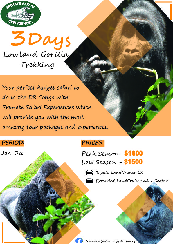 congo star safaris