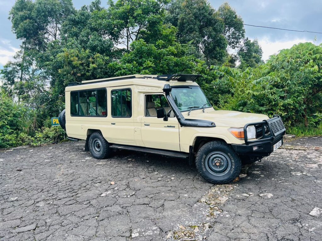 Safari landcruiser 