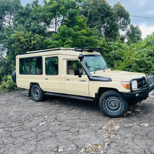 Safari landcruiser